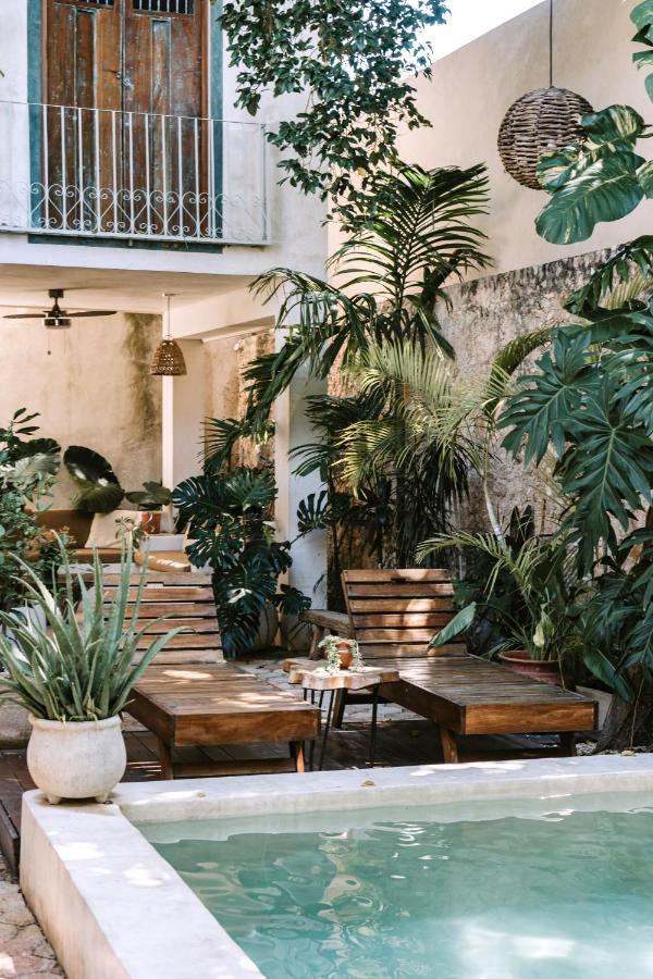 Casa Mezcla - Bed & Breakfast Mérida Εξωτερικό φωτογραφία