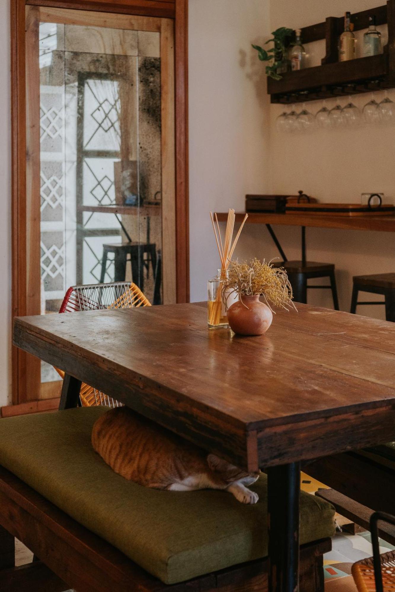 Casa Mezcla - Bed & Breakfast Mérida Εξωτερικό φωτογραφία